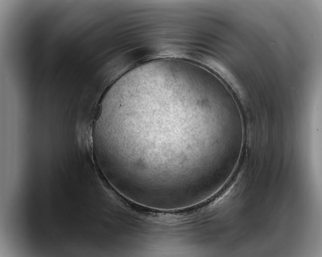 X0000088491241200705291641