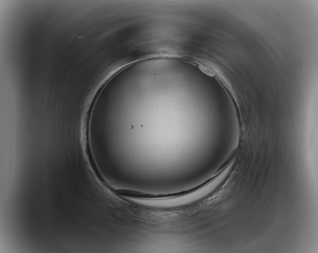 X0000088491243200705291641