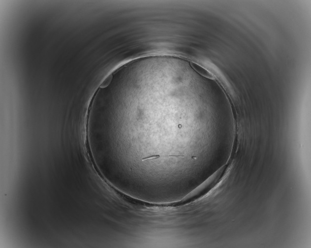 X0000088491244200705291641