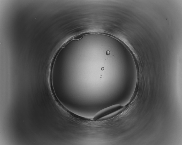 X0000088491245200705291641