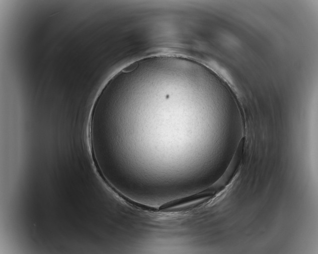 X0000088491247200705291641
