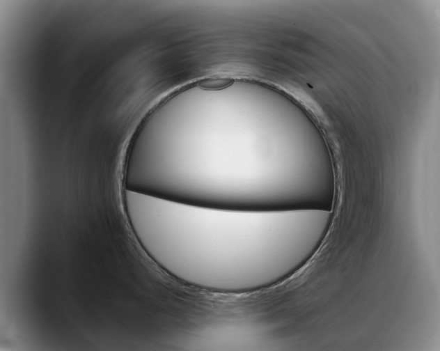 X0000088491248200705291641