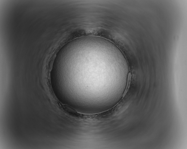 X0000088491249200705291640
