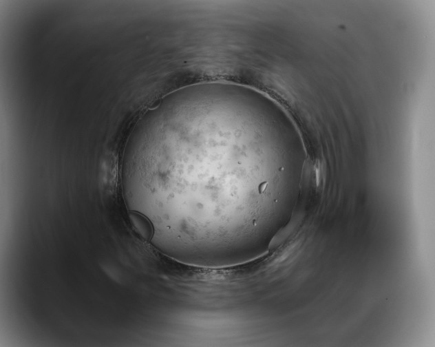 X0000088491251200705291640
