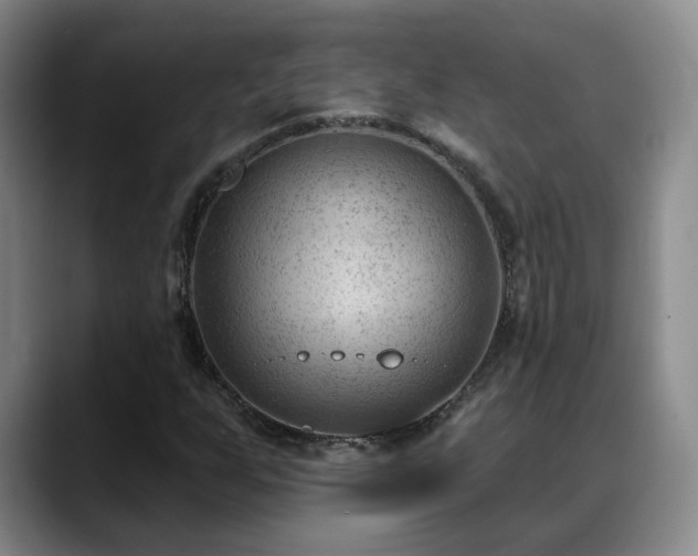 X0000088491255200705291640