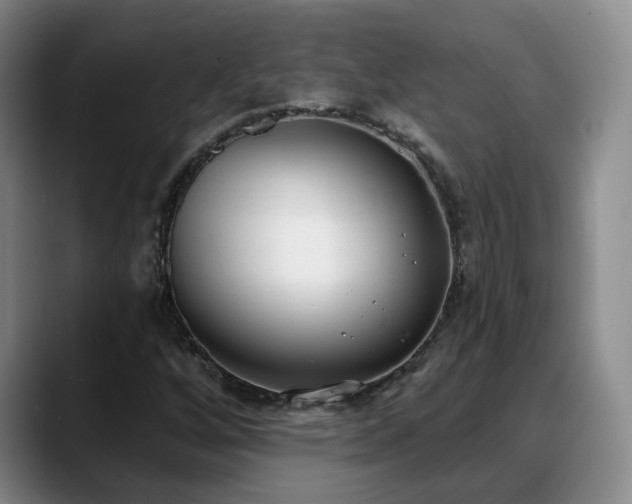 X0000088491256200705291640