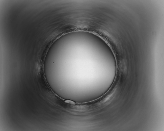 X0000088491257200705291640