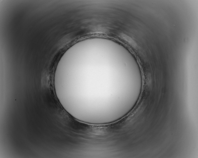 X0000088491258200705291640