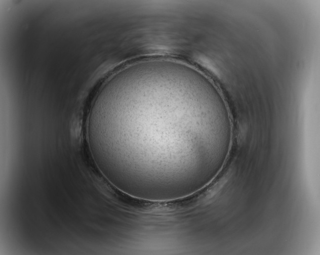 X0000088491259200705291640