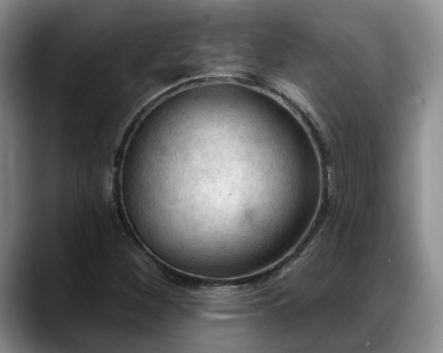 X0000088491260200705291640