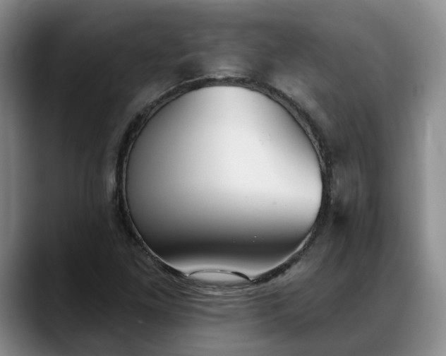 X0000088491261200705291640
