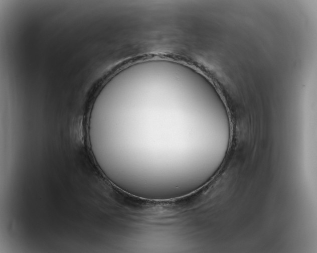 X0000088491262200705291640