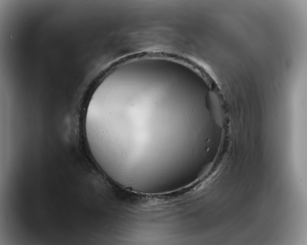 X0000088491263200705291640