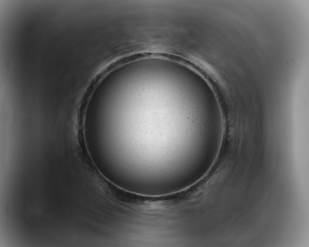 X0000088491264200705291640