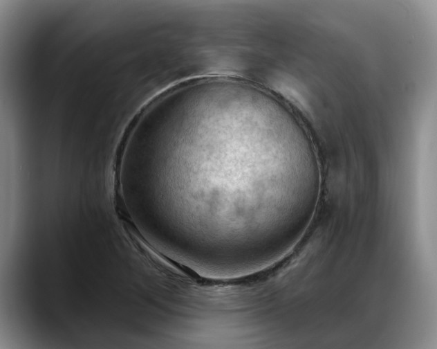 X0000088491268200705291640