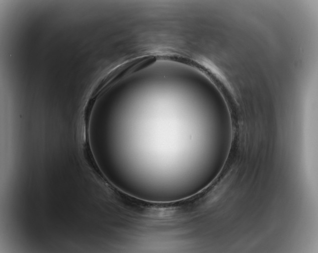 X0000088491269200705291640