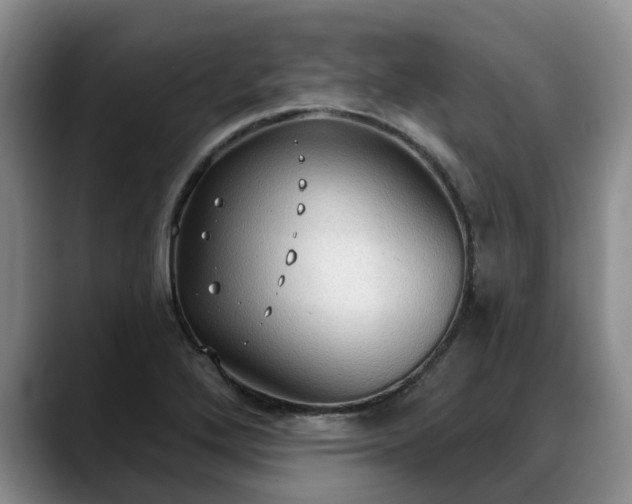 X0000088491272200705291640