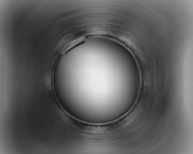 X0000088491273200705291640