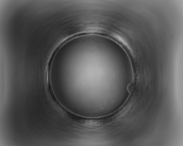 X0000088491275200705291640