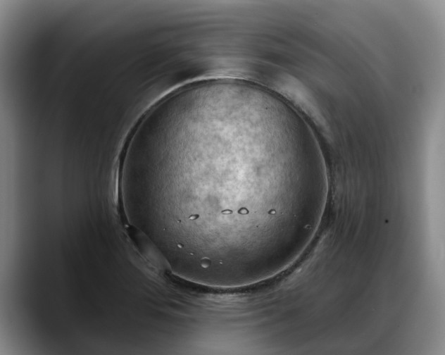 X0000088491276200705291640