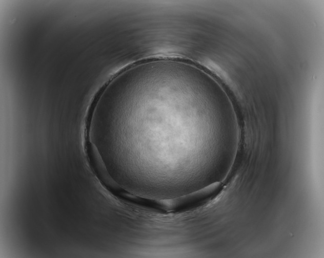 X0000088491277200705291640