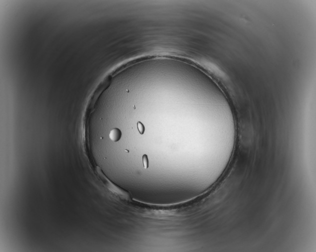 X0000088491280200705291640