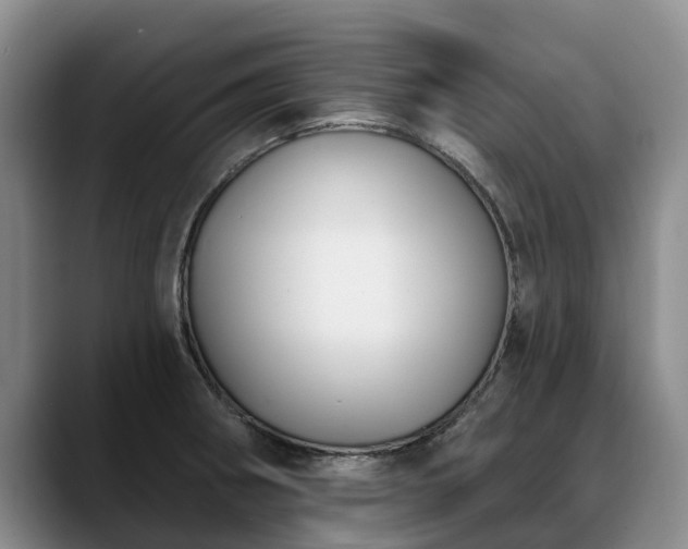 X0000088491282200705291640