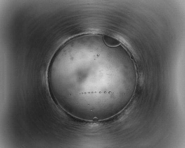X0000088491283200705291640