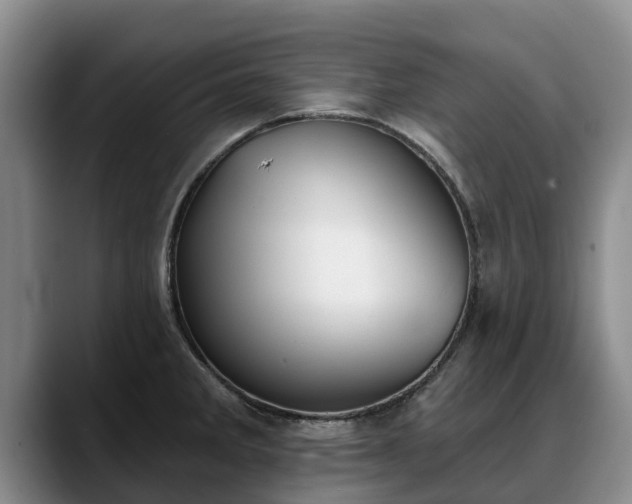 X0000088491285200705291640