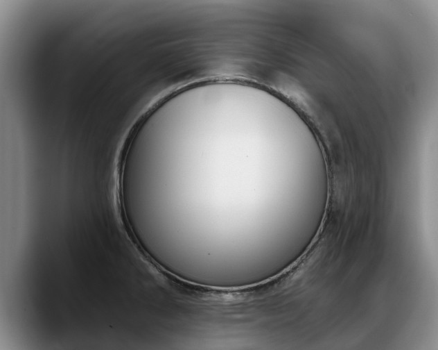 X0000088491286200705291640