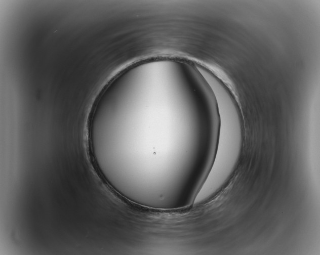 X0000088491287200705291640
