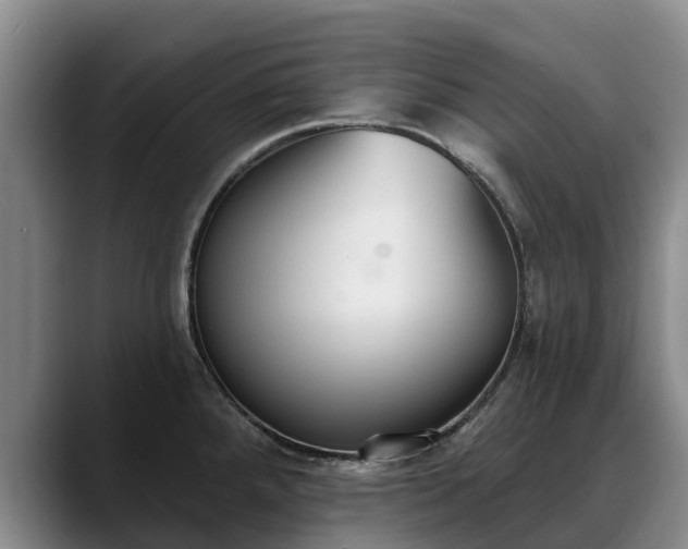 X0000088491288200705291640