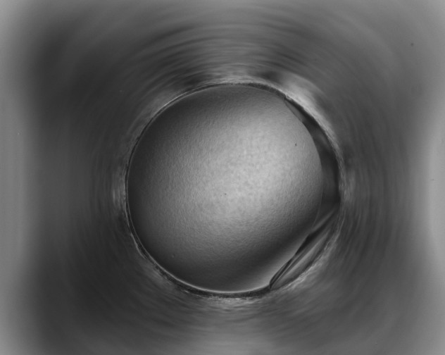 X0000088491289200705291640