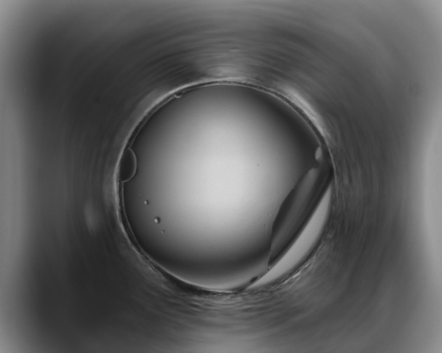 X0000088491291200705291640