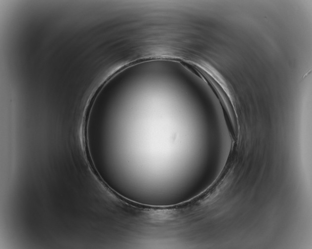 X0000088491293200705291640