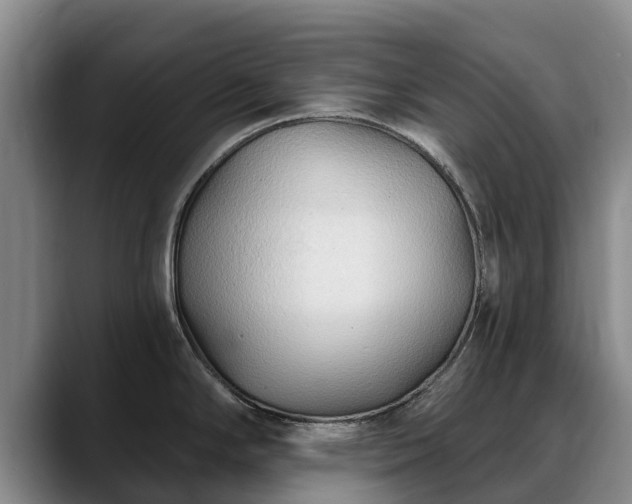 X0000088491294200705291640