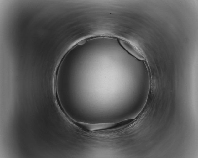 X0000088491295200705291640