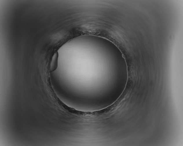 X0000088491297200705291639