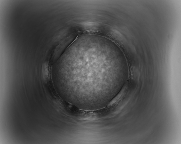 X0000088491298200705291639