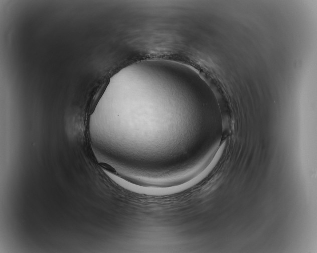 X0000088491300200705291639