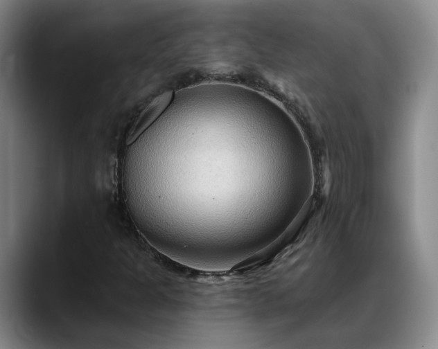 X0000088491301200705291639