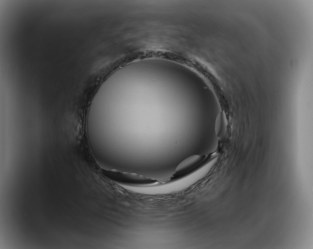 X0000088491303200705291639