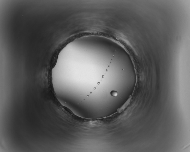 X0000088491304200705291639