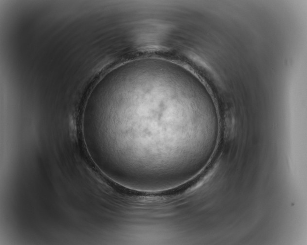 X0000088491305200705291639