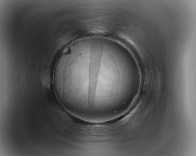 X0000088491306200705291639