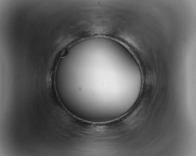 X0000088491309200705291639