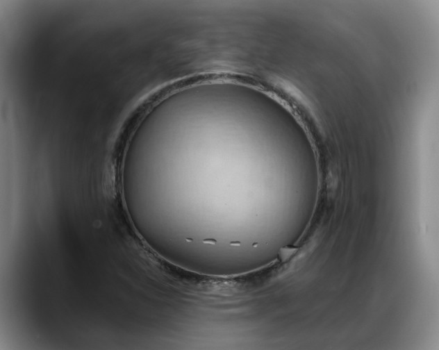 X0000088491310200705291639