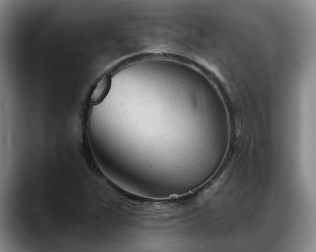 X0000088491311200705291639