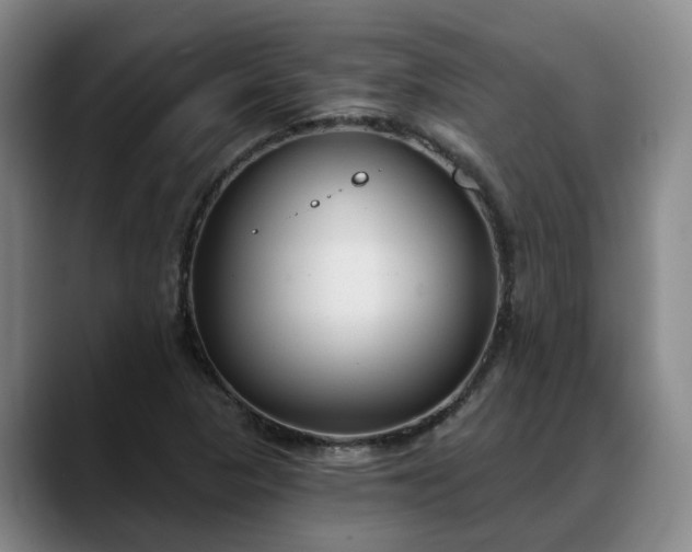 X0000088491313200705291639