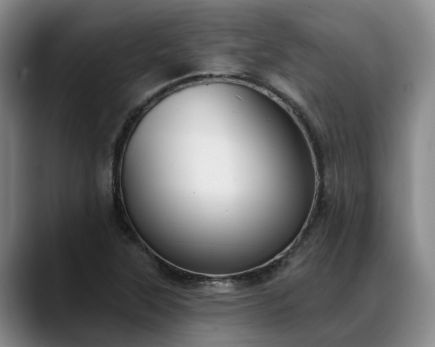 X0000088491315200705291639